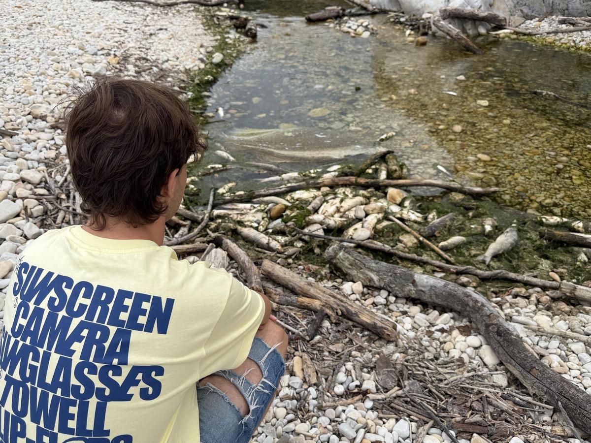 Aparecen cientos de peces muertos en una playa de Llanes