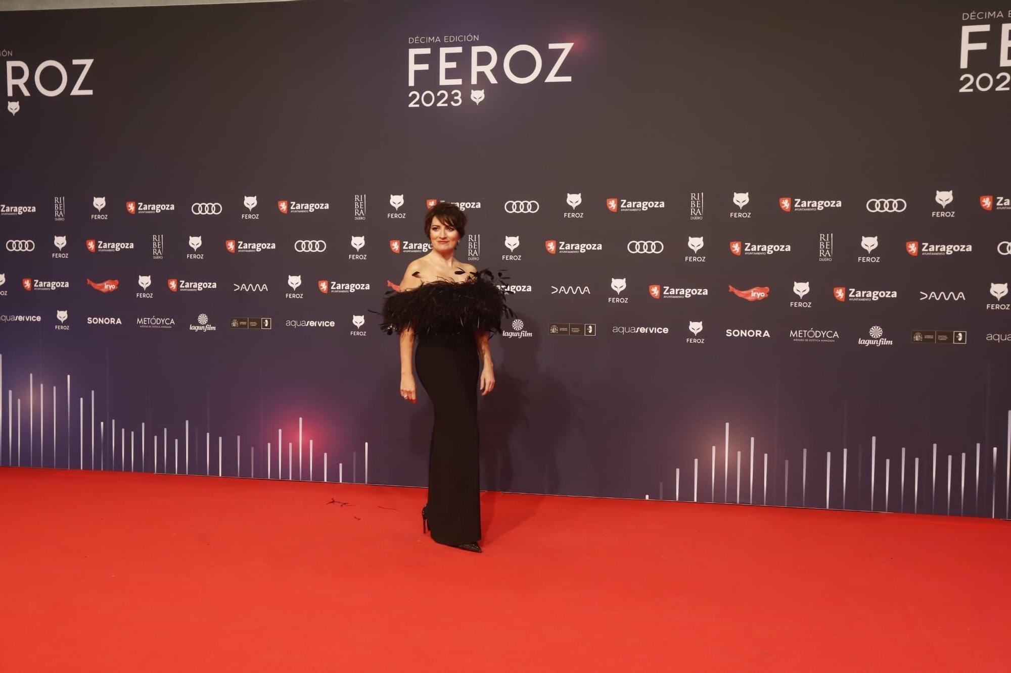 Alfombra roja de los premios Feroz