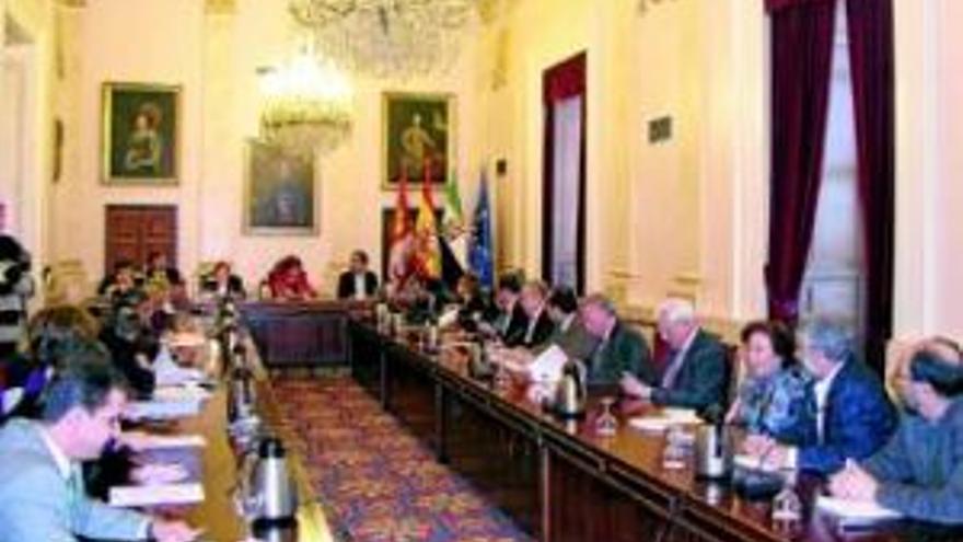 El pleno aprueba un grupo de trabajo para consensuar la empresa mixta de gestión del agua