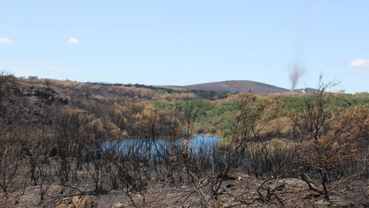 Zona erosionada por el viento tras el incendio entre Cional y Codesal. | A. Saavedra