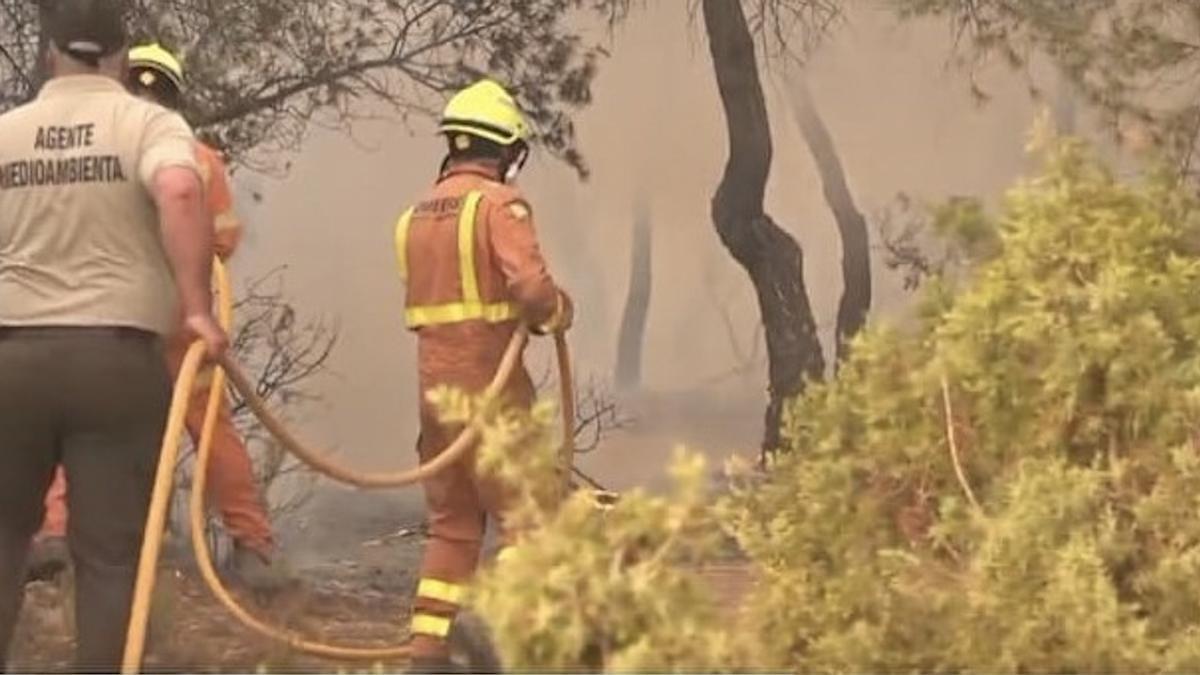 Un agente medioambiental, sin EPI&#039;s, ayuda a los bomberos en la extinción del incendio de Bejís.