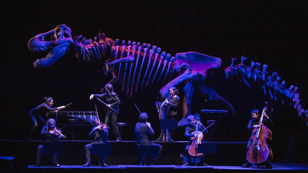 'Soñando el carnaval de los animales', en el Teatro Español el 21 de diciembre al 5 de enero.