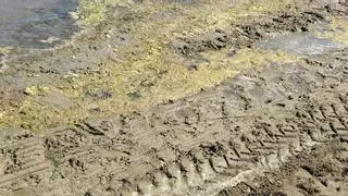 Vecinos de Los Nietos denuncian fango y pulgas en la playa: "Hay quien no se ha podido meter en el agua"