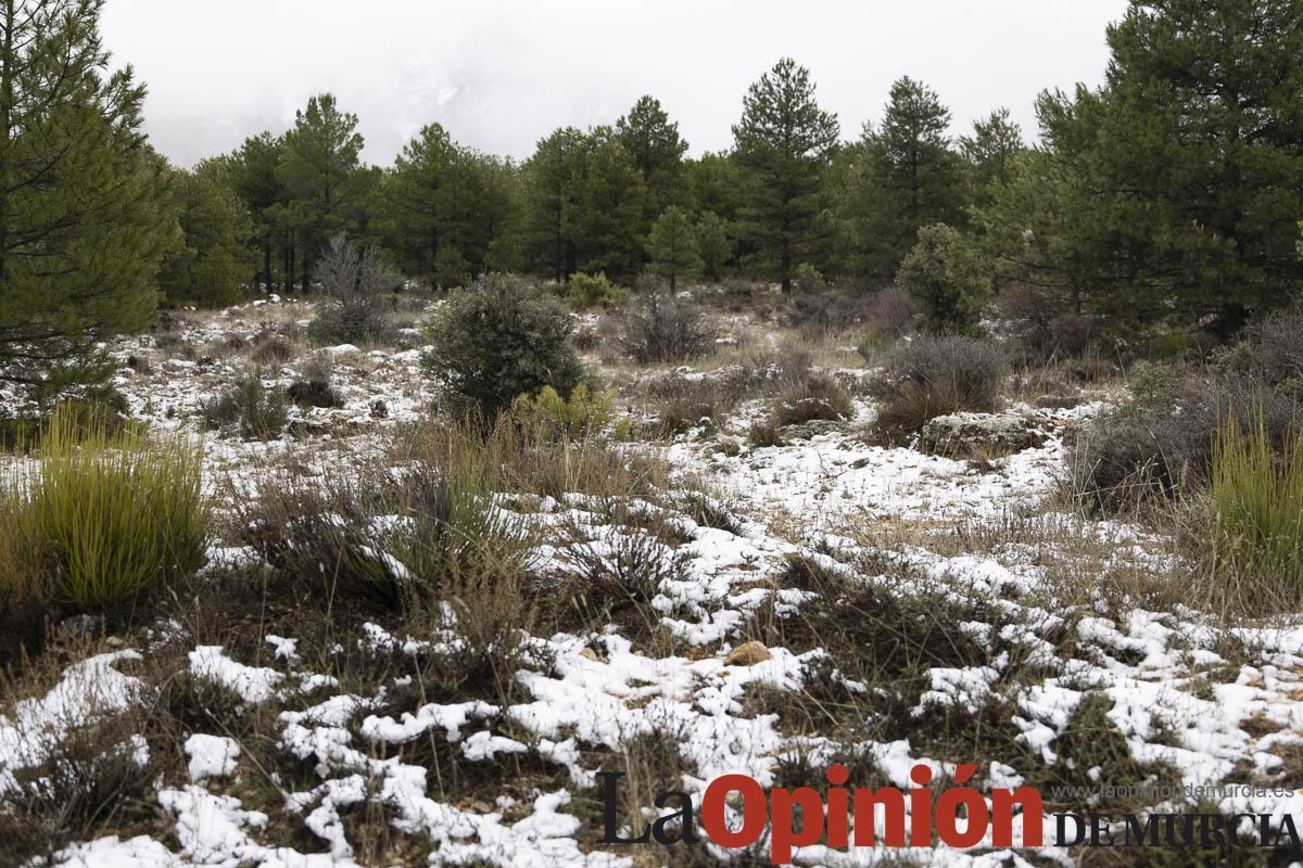 Nieve en las proximidades de Revolcadores en Moratalla