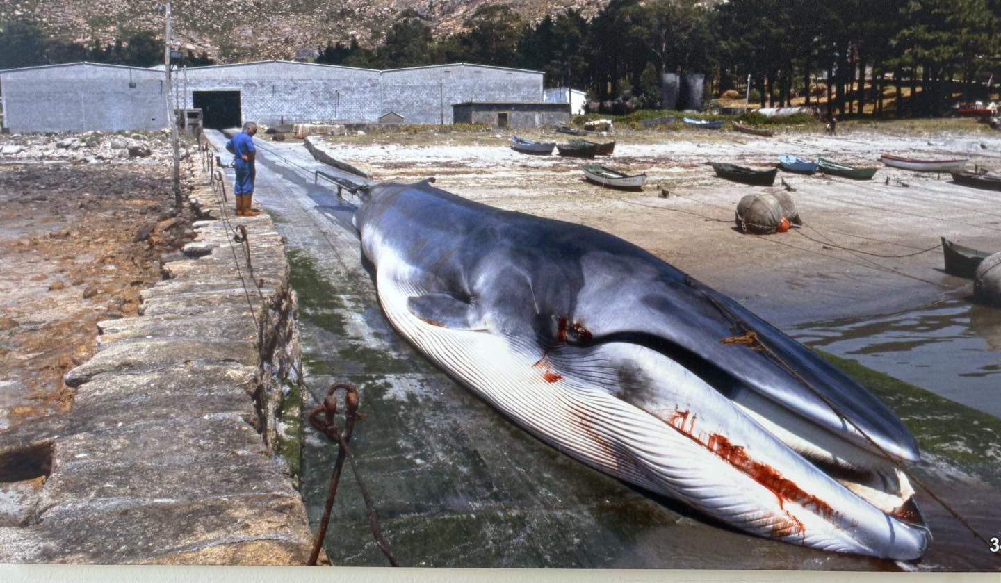 Una de las imágenes que pueden verse en la exposición retrospectiva en Cee.