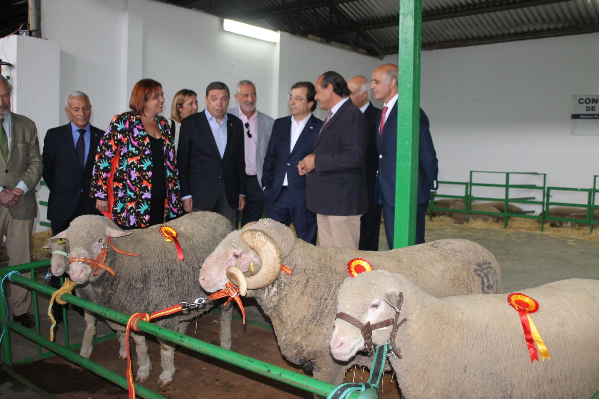 Las autoridades con los ganadores de los premios de los ovinos precoces de esta mañana.