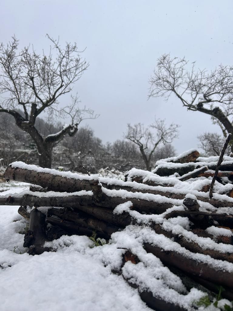 Nieva en Tollos, en la comarca alicantina del Comtat