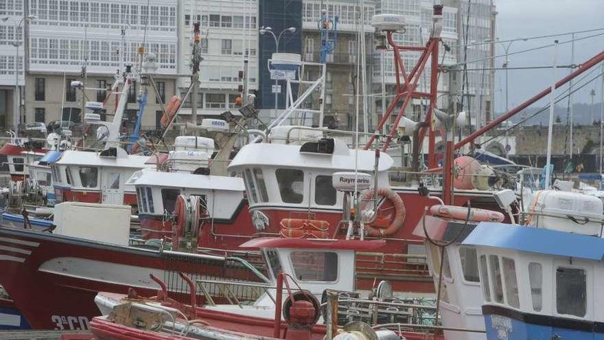 Embarcaciones de bajura amarradas en A Coruña, en los muelles de la Marina.