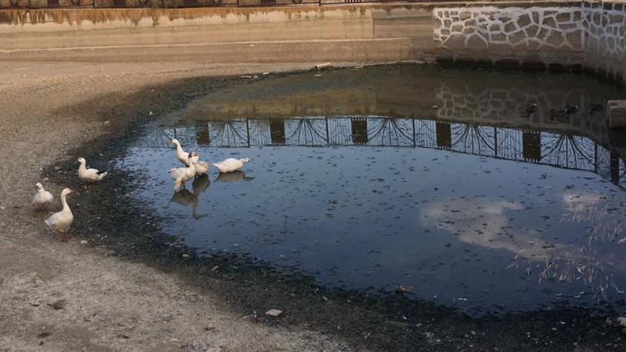 Patos tratan de sobrevivir en lo que queda del estanque, en una foto mandada por el PSOE.