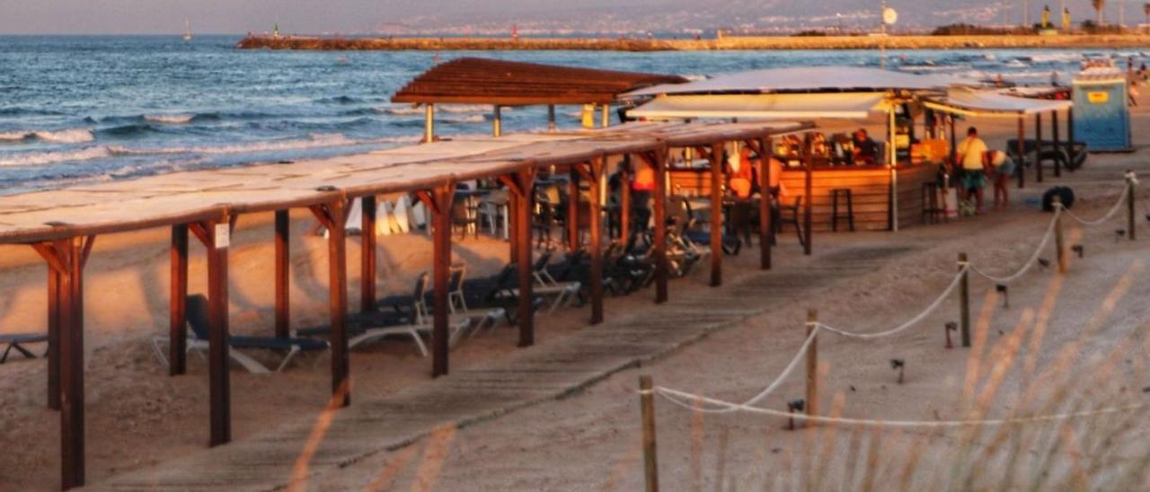 Uno de los chiringuitos y zonas de ocio situados junto a las dunas de la playa de Oliva.                           | LEVANTE-EMV