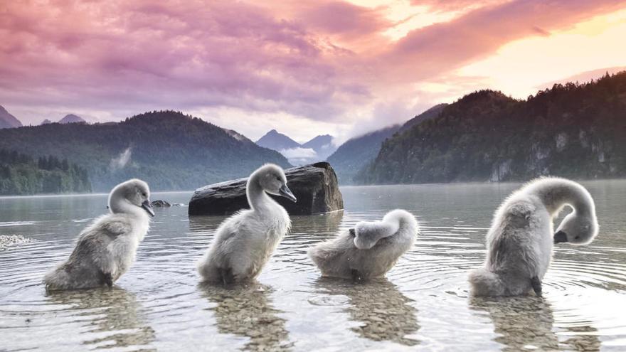 La foto murciana que cautivó a National Geographic