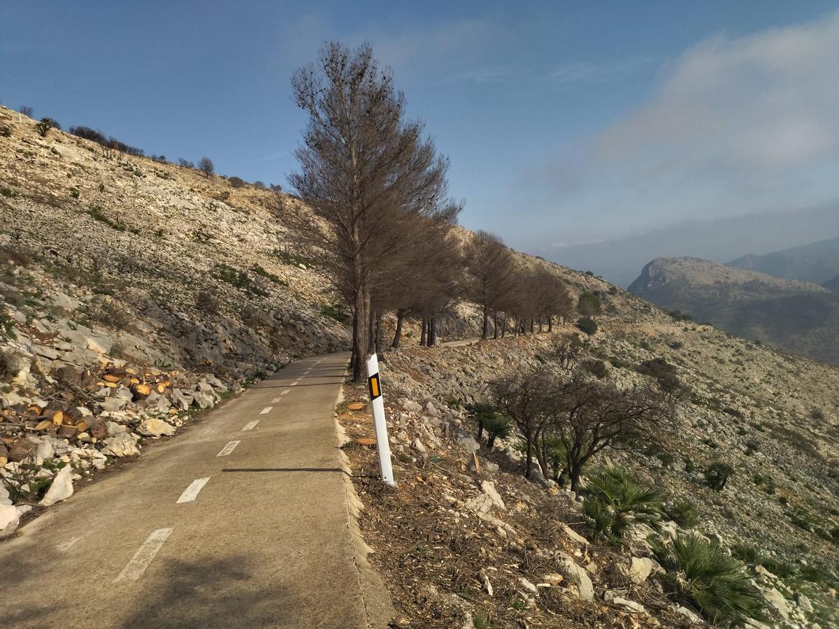 Desolación, erosión y bandadas de cuervos en las laderas del Coll de Rates arrasadas hace 8 meses por el fuego (imágenes) Desolación, erosión y bandadas de cuervos en las laderas del Coll de Rates arrasadas hace 8 meses por el fuego (imágenes)