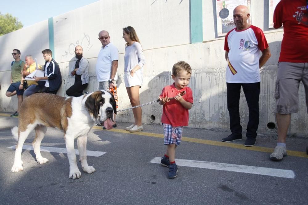 Carrera popular en nonduermas