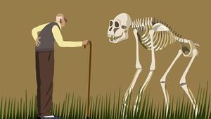 zentauroepp49482212 opi beard190818181122