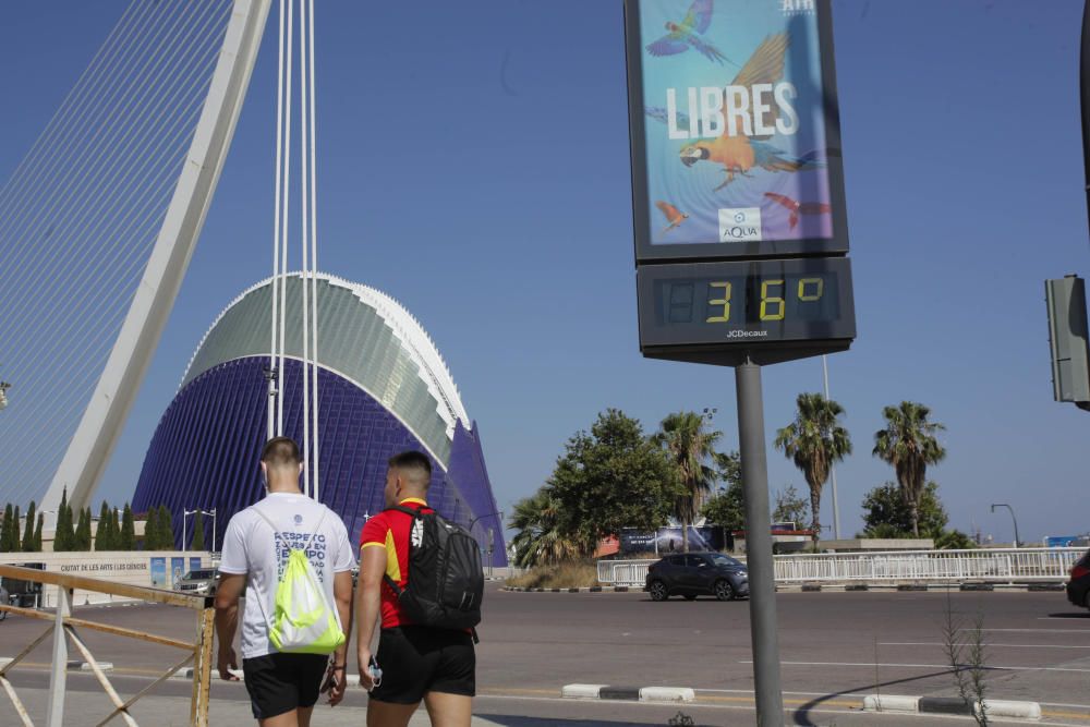 Parques y jardines para aliviar las altas temperat