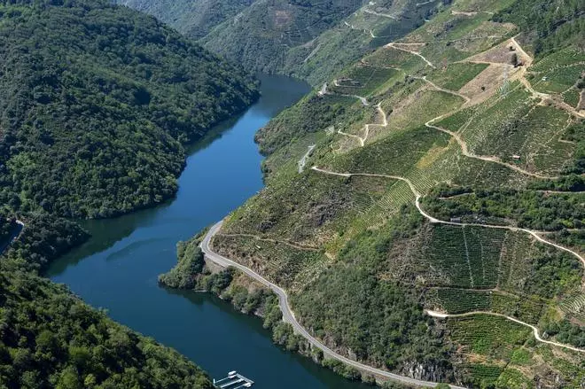 Ourense, tierra termal y de vinos