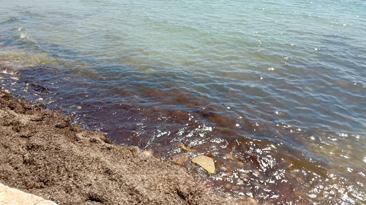 El agua en la playa, tras el vertido
