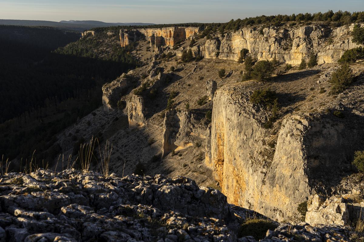Vista del Cañón del Río Lobos desde el mirador de la Galiana al atardecer