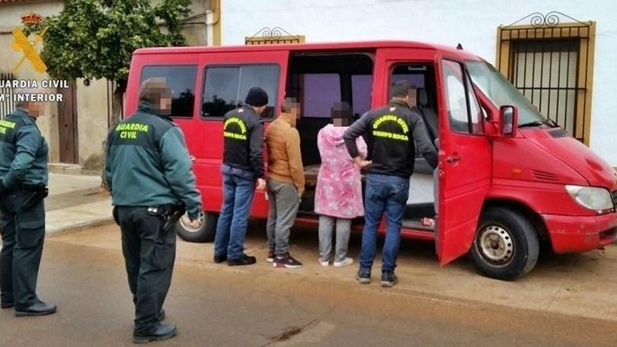 Tres detenidos en Aldea de Retamar por el robo de 27 toneladas de aceitunas