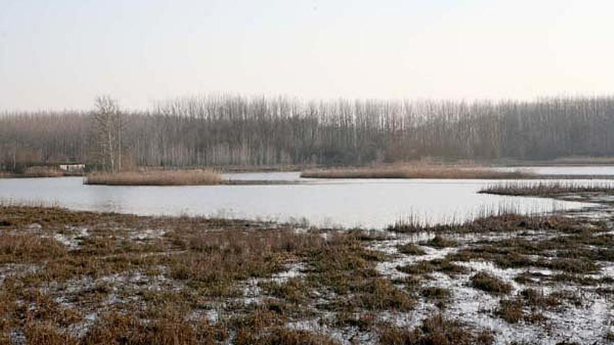 Els Estanys de Sils són una zona protegida, en imatge d&#039;arxiu.