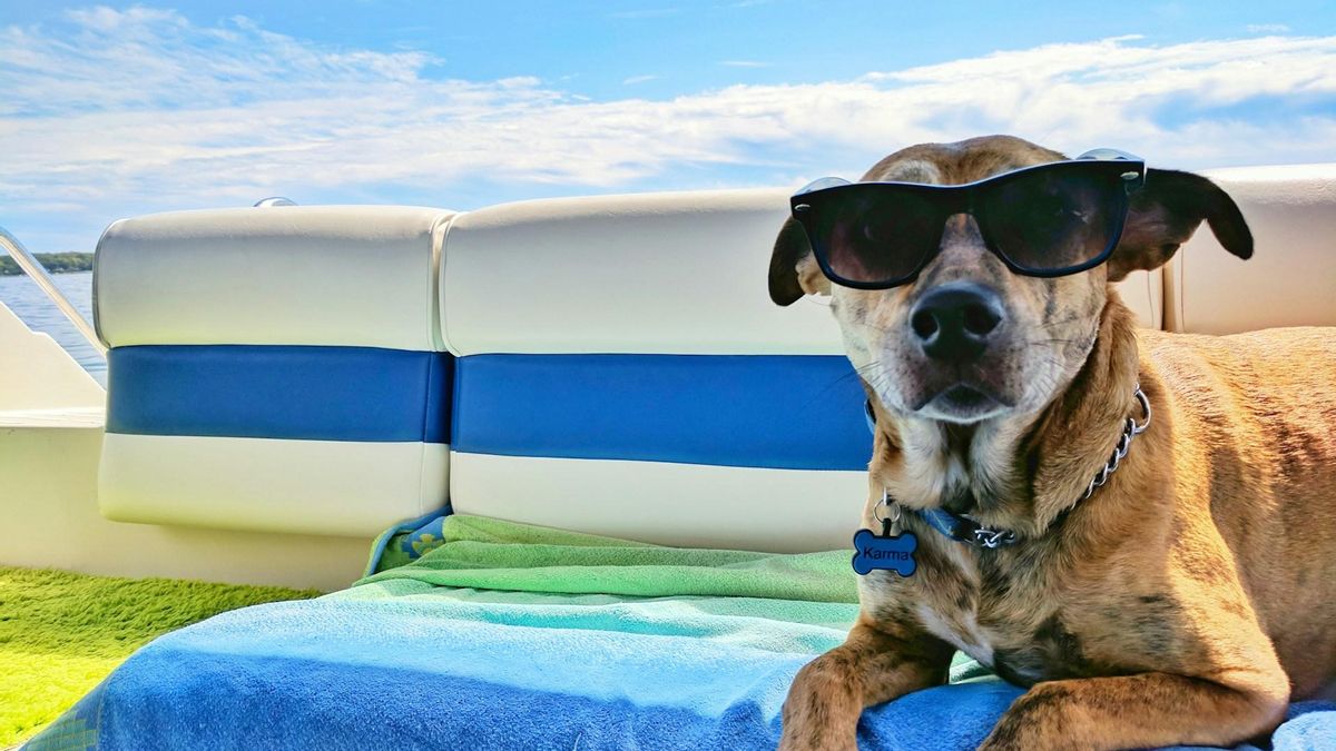 Disfruta del verano con los tests favoritos de nuestros lectores