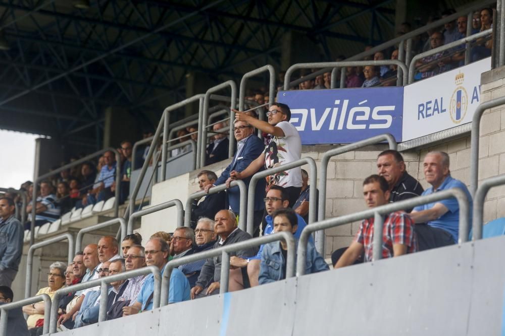 Partido Avilés-Langreo