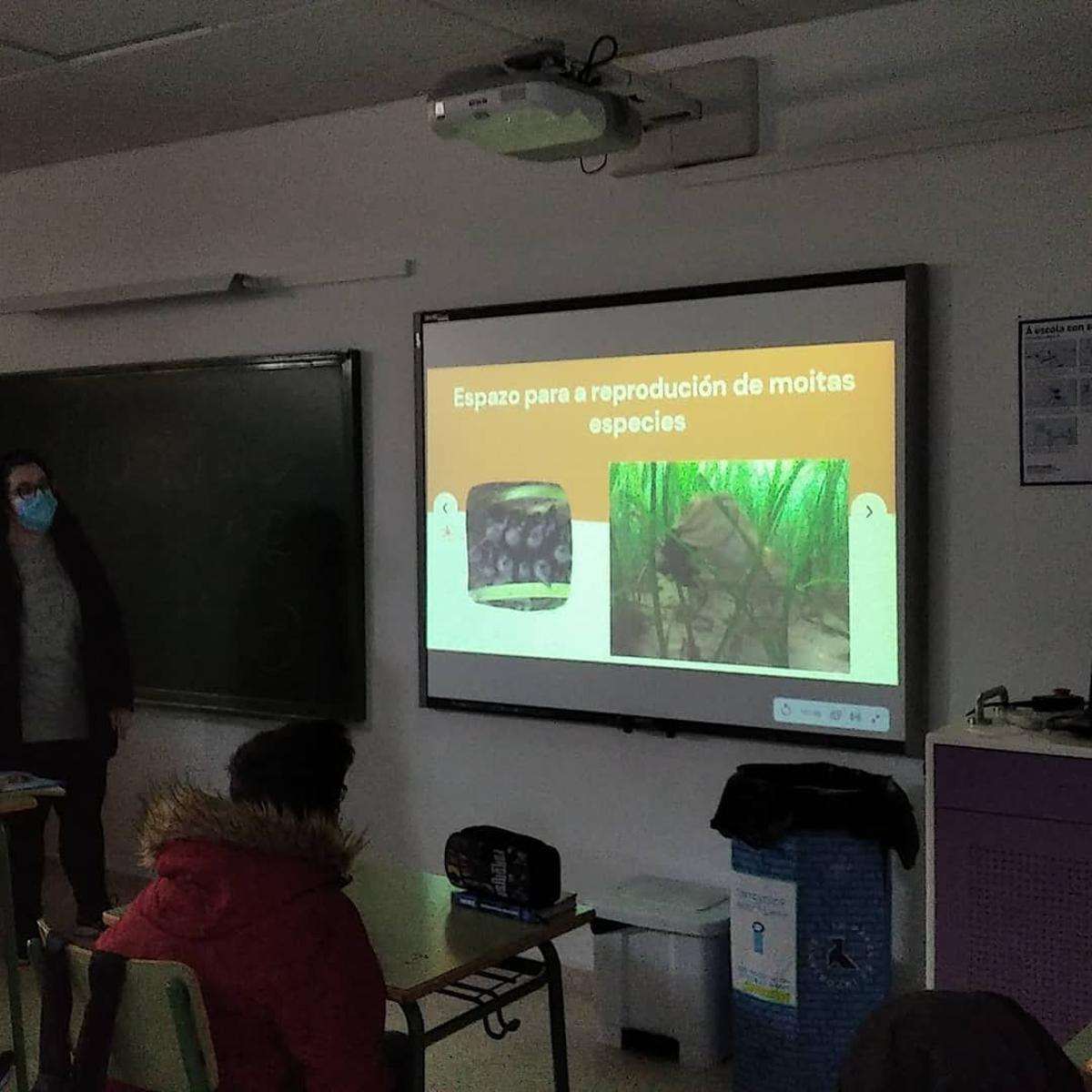 Un momento de las clases sobre praderas marinas impartidas en las aulas del IES As Bizocas.