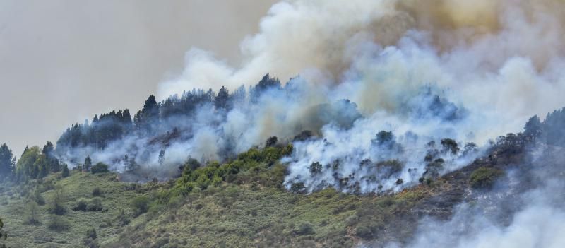 Incendio desde Moya: Daños y avance de las llamas