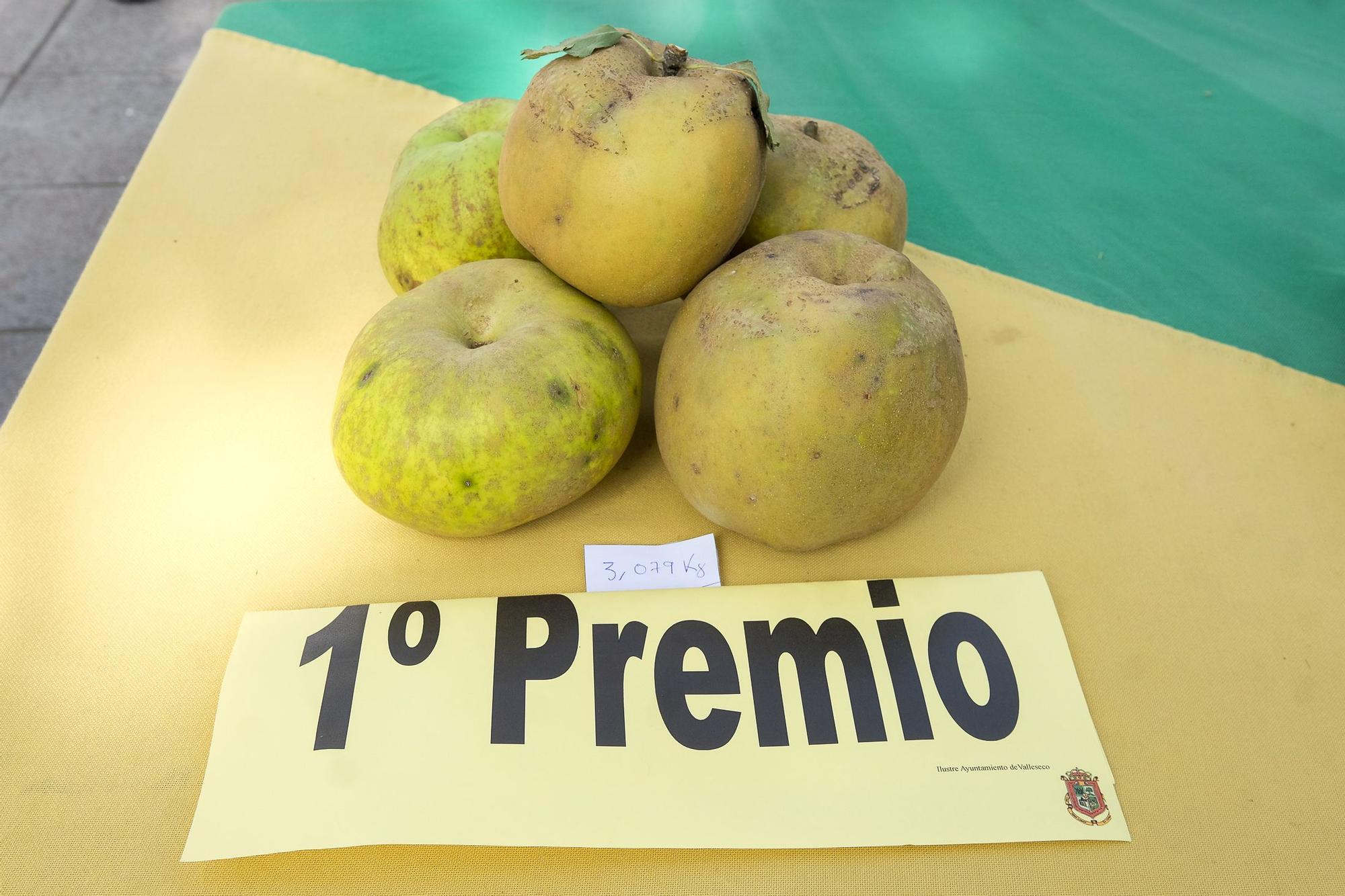 Fiesta de la manzana en Valleseco