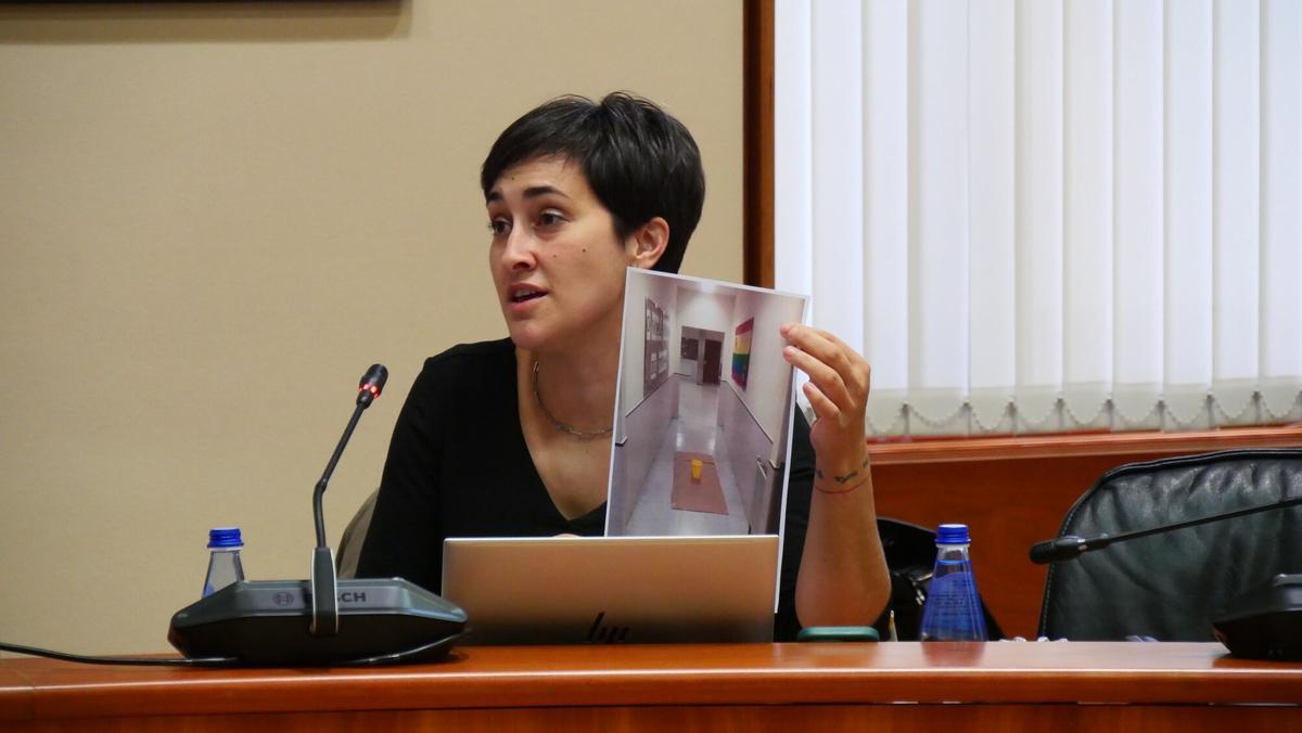 Ariadna Fernández, durante una intervención en comisión parlamentaria.