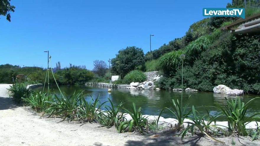 Hidraqua celebra el décimo aniversario del parque inundable La Marjal como referente internacional anti-inundaciones