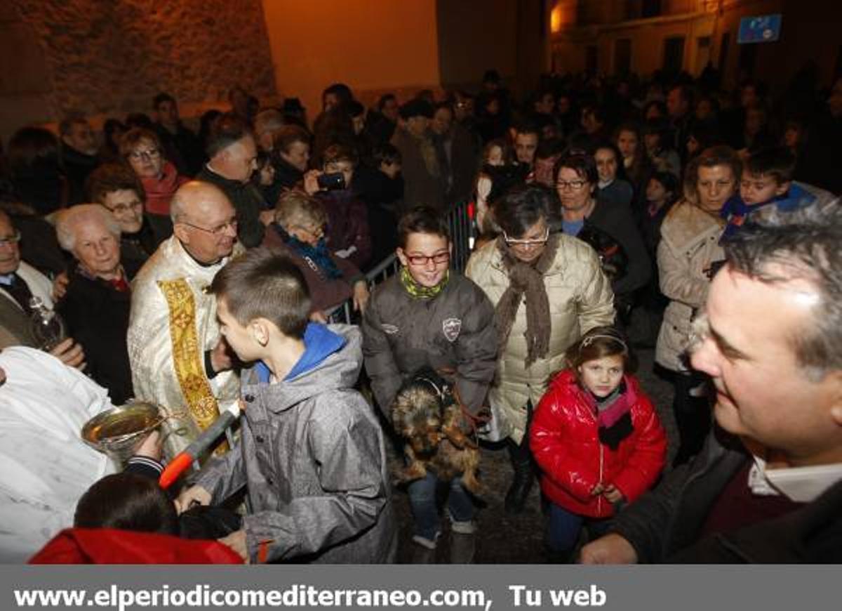 GALERÍA DE FOTOS - Matxa de Sant Antoni Alamassora