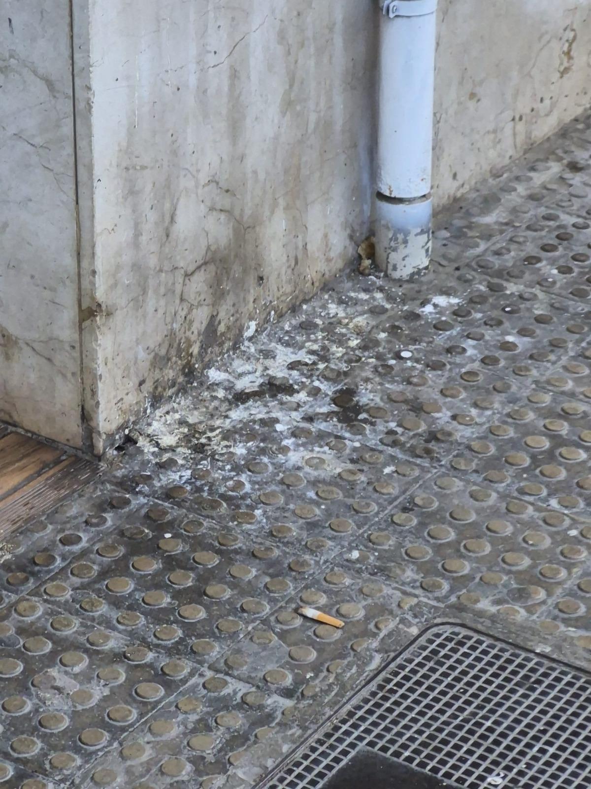 Suciedad de plaga de las palomas en Sagunt.