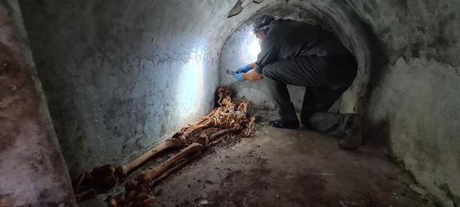 Un investigador valenciano encuentra una momia en Pompeya