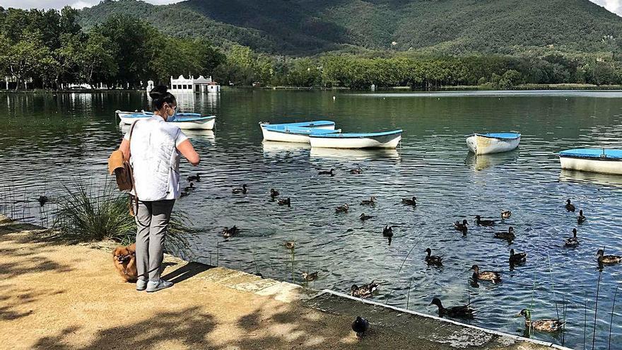 Una dona contempla els ànecs al llac de Banyoles, ahir.