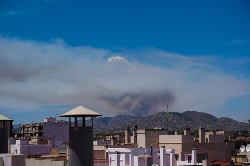 Incendio forestal en Monóvar