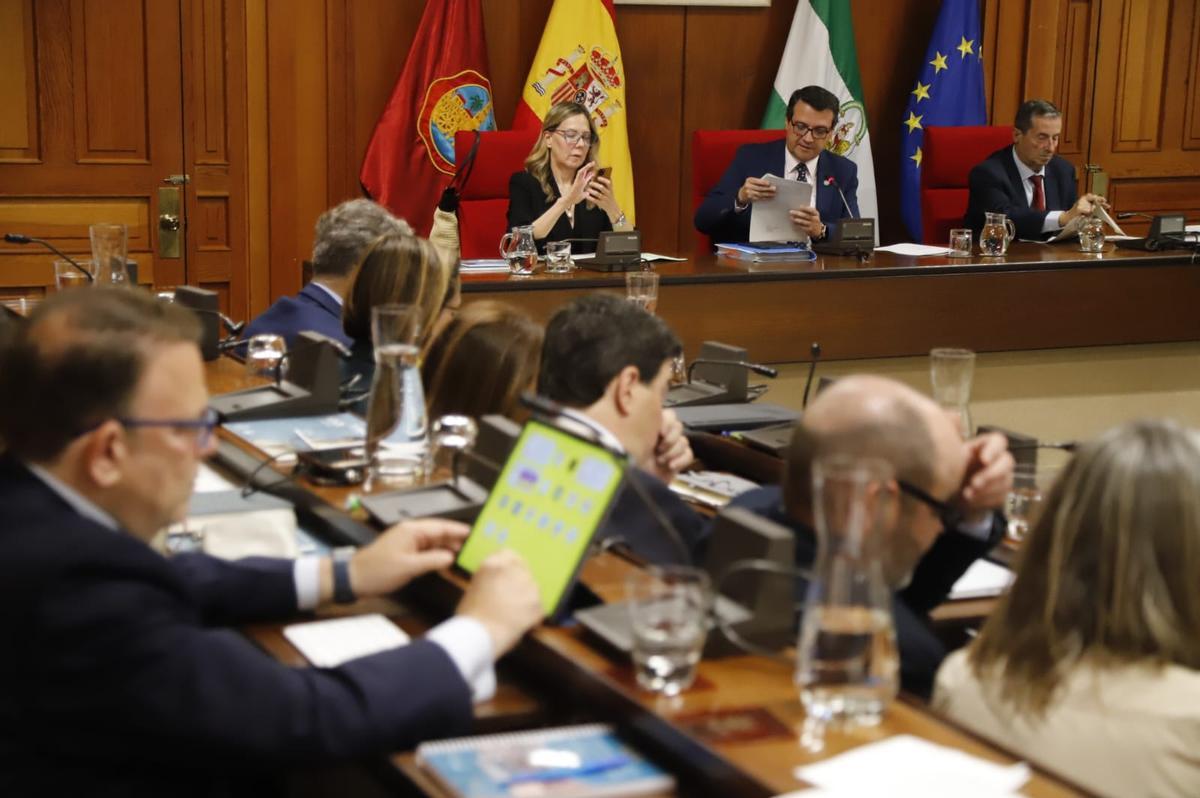 Imagen del salón de plenos de Córdoba.