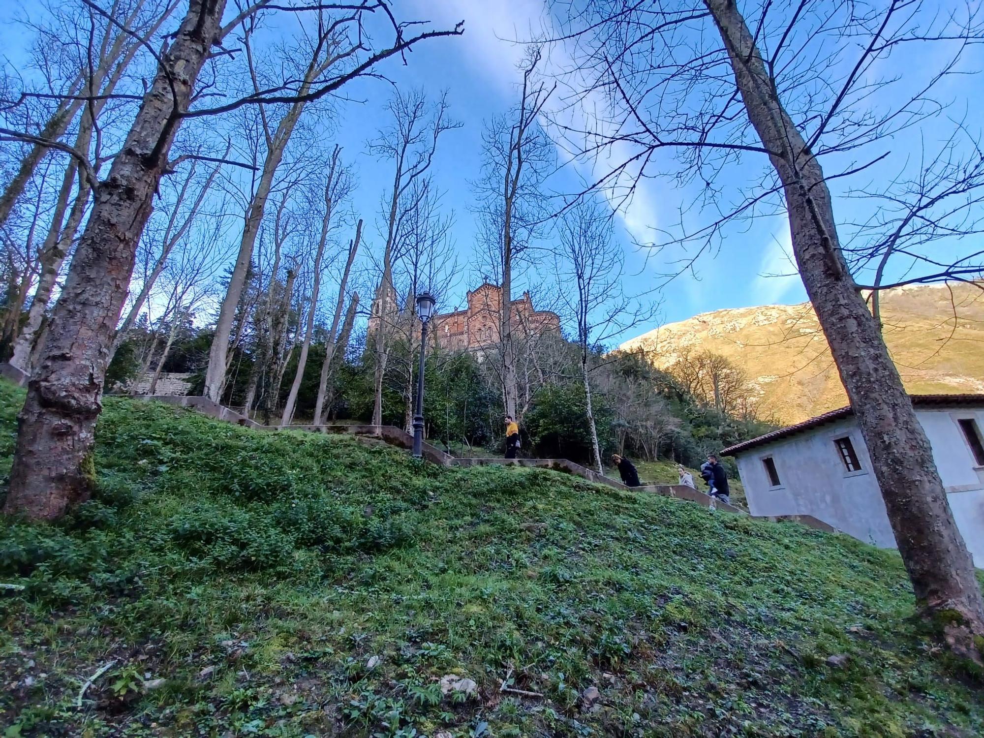 Leones de Papa, jardines de Príncipe y camposanto secreto, las mil y una curiosidades de Covadonga