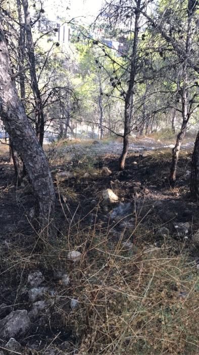 Pequeño incendio forestal en la Serra Grossa