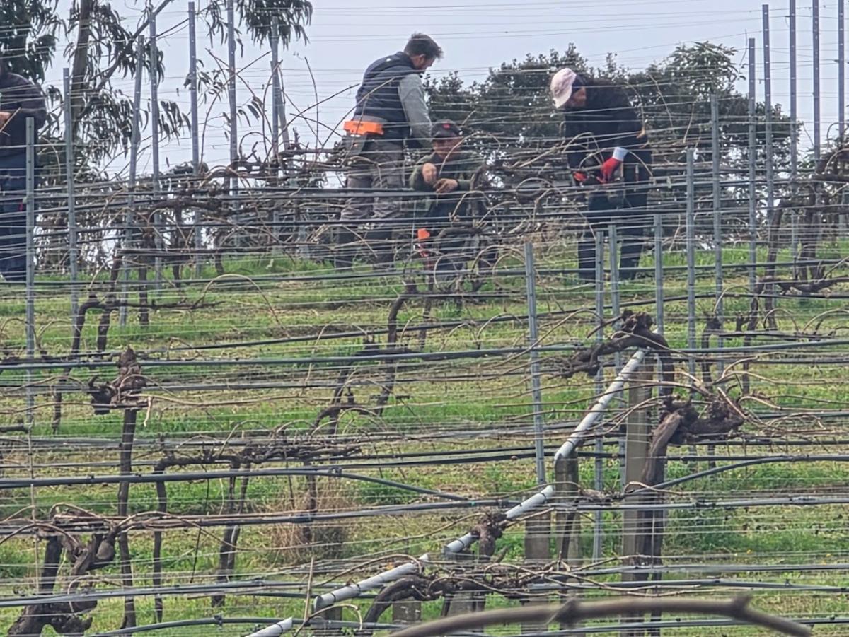 Pazo Rubiáns, en Vilagarcía, sede de la bodega Pazo de Rubianes, desde octubre propiedad de Bodegas Arzuaga.
