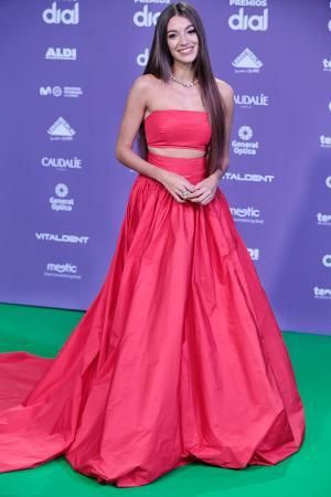 Alfombra Verde de los Premios Cadena Dial