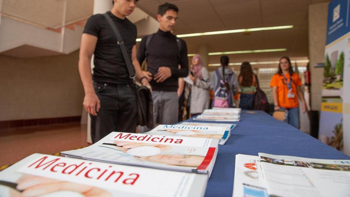 Amparo Navarro: "Los alumnos de Medicina arrancarán sus prácticas con total normalidad"