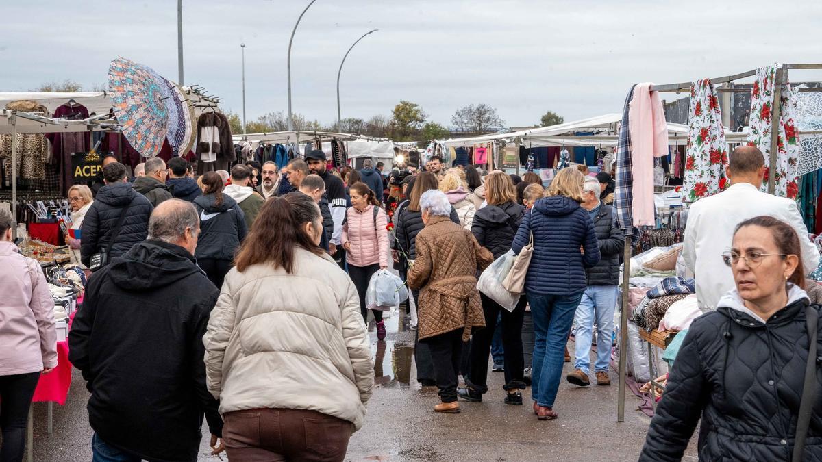Imagen de varios puestos en el recinto ferial.