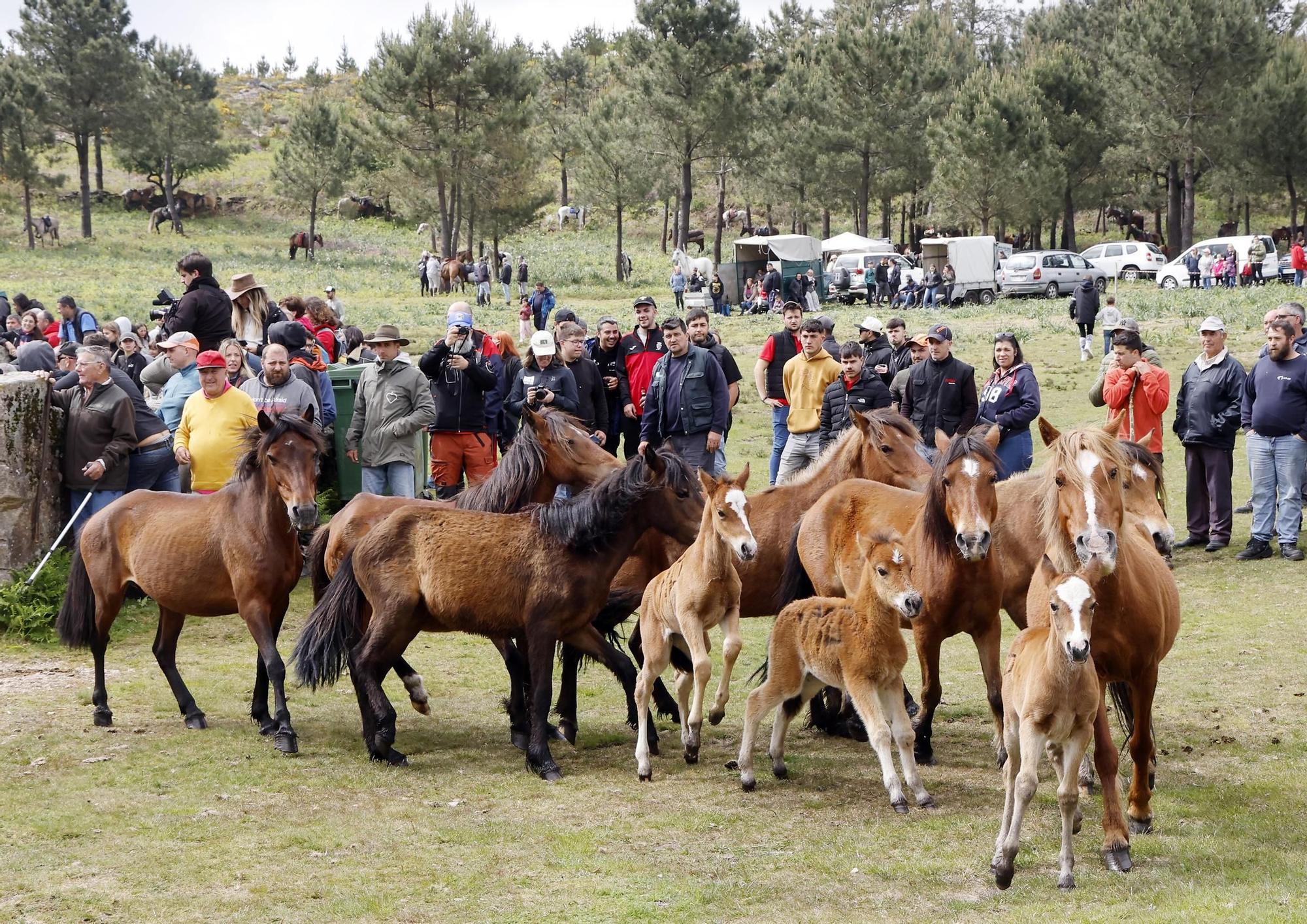 Valga inaugura la temporada de curros