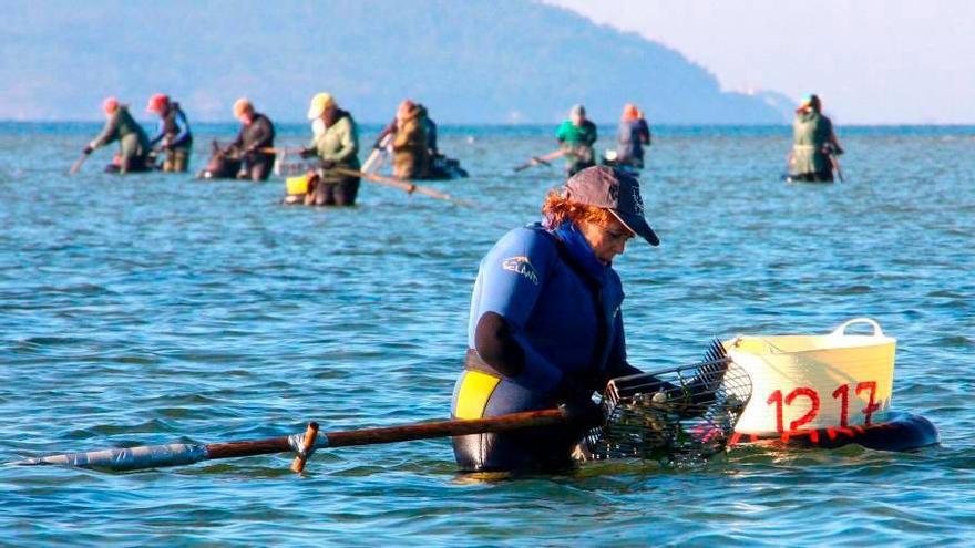 El Gobierno iniciará en junio los pagos a las mariscadoras de Noia por cese de actividad