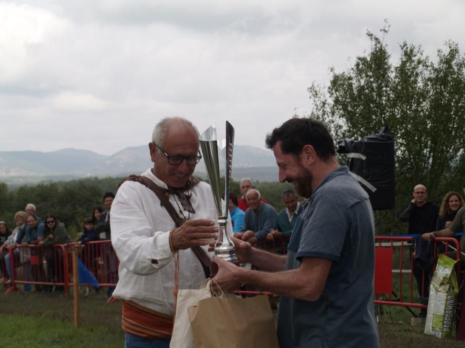 Concurs de gossos d'atura de Castellterçol