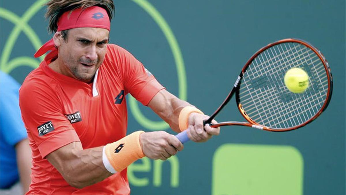 David Ferrer