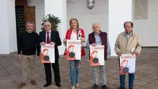 50 artistas recorrerán 20 municipios de Córdoba en el Circuito Provincial Flamenco