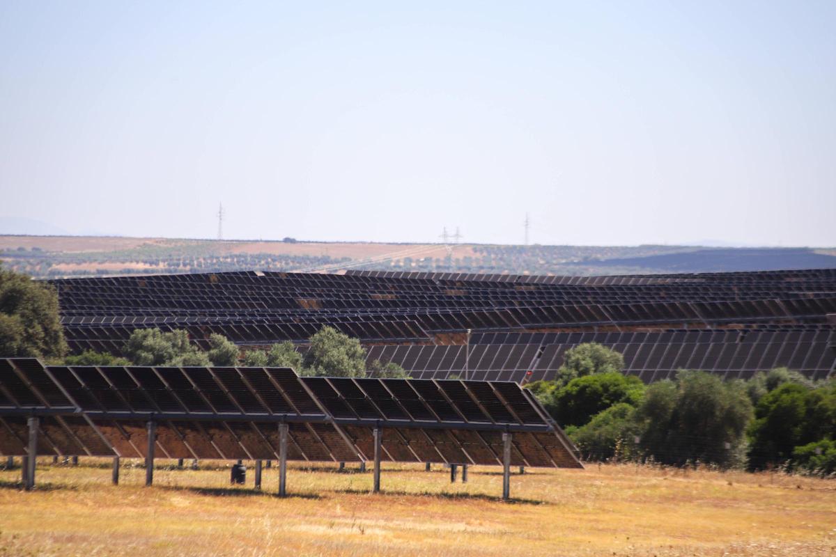 Planta fotovoltaica ubicada en el bloque sur del complejo.