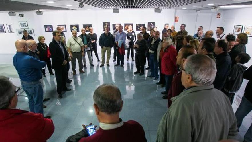 El bodegón en la fotografía